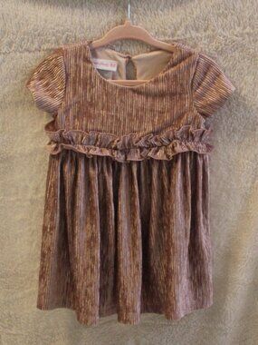 Bonnie Baby Girl Short Sleeve Crinkle Velvet Dress